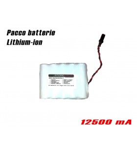 Batteria 12500 mAh (lunga autonomia) per localizzatori